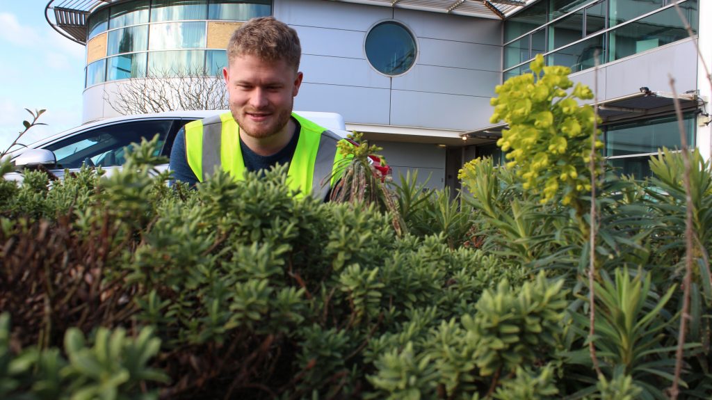 Ben behind the bushes