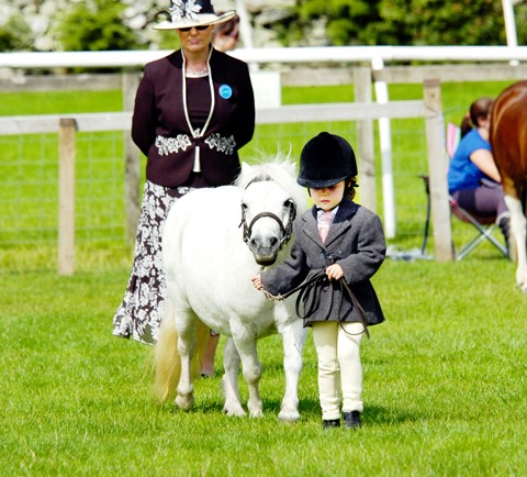 Cartmel show