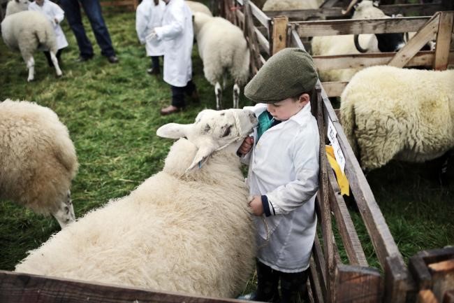Stokesley Show