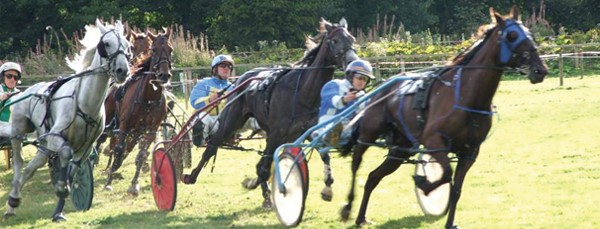 Wolsingham Show