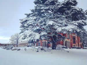 Rockliffe Hall Hotel